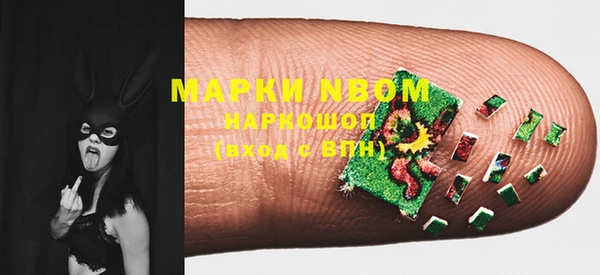 ешки Ельня