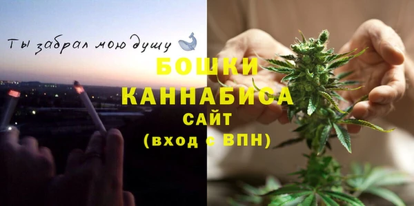 стаф Елизово
