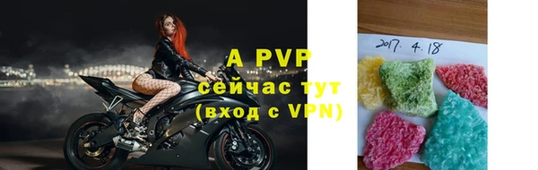 стаф Елизово