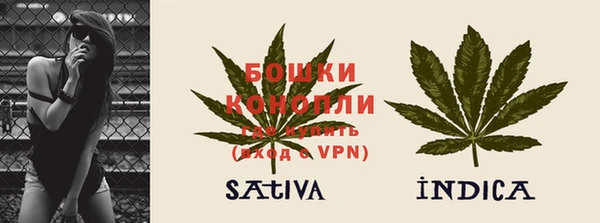 ешки Ельня