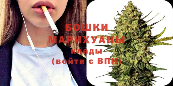 ешки Ельня