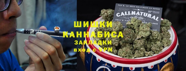 стаф Елизово