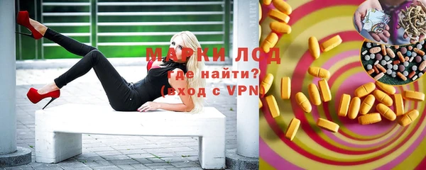 стаф Елизово