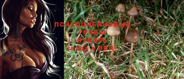 ешки Ельня