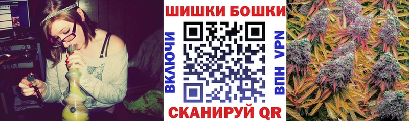 Купить где Дорогобуж Шишки марихуана план